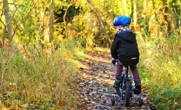 https://www.kidsinadelaide.com.au/bike-tracks-for-kids-and-families-in-adelaide/